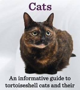 Tortoiseshell Cats. an Informative Guide to Tortoiseshell Cats and Their Famous 'Tortitude'.