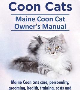 Maine Coon Cats. Maine Coon Cat Owner's Manual. Maine Coon cats care, personality, grooming, health, training, costs and feeding all included.