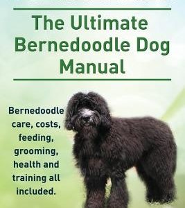 Bernedoodles. The Ultimate Bernedoodle Dog Manual. Bernedoodle care, costs, feeding, grooming, health and training all included.
