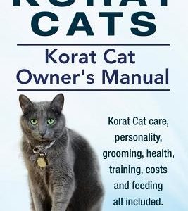 Korat Cats. Korat Cat Owners Manual. Korat Cat care, personality, grooming, health, training, costs and feeding all included.