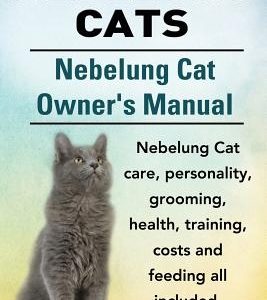Nebelung Cats. Nebelung Cat Owners Manual. Nebelung Cat care, personality, grooming, health, training, costs and feeding all included.