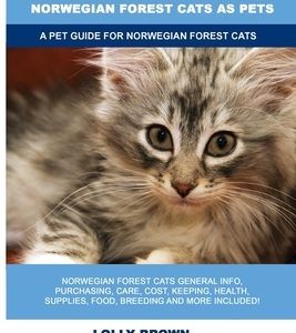 Norwegian Forest Cats as Pets: A Pet Guide for Norwegian Forest Cats