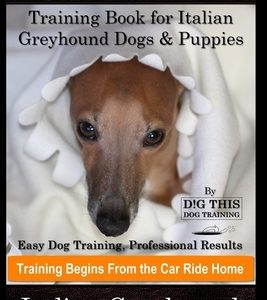 Italian Greyhound Training Book for Italian Greyhound Dogs & Puppies By D!G THIS DOG Training, Easy Dog Training, Professional Results, Training Begin