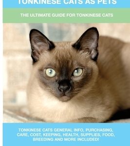 Tonkinese Cats as Pets: The Ultimate Guide for Tonkinese Cats