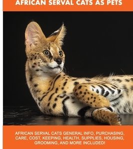 African Serval Cats as Pets