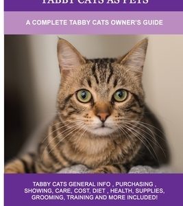 Tabby Cats as Pets: A Complete Tabby Cats Owner's Guide