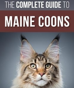 The Complete Guide to Maine Coons: Finding, Preparing for, Feeding, Training, Socializing, Grooming, and Loving Your New Maine Coon Cat
