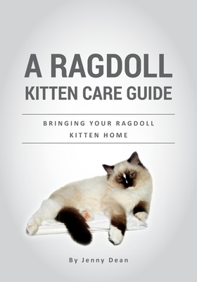 A Ragdoll Kitten Care Guide: Bringing Your Ragdoll Kitten Home