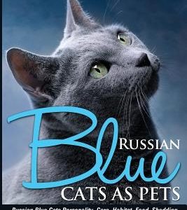 Russian Blue Cats as Pets. Personality, Care, Habitat, Feeding, Shedding, Diet, Diseases, Price, Costs, Names & Lovely Pictures. Russian Blue Cats Com