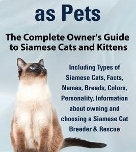 Siamese Cats as Pets. Complete Owner's Guide to Siamese Cats and Kittens. Including Types of Siamese Cats, Facts, Names, Breeds, Colors, Breeder & Res