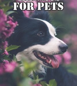 Natural Homemade Essentail Oil For Pets 50 Recipes Your Dog Or Cat Will Love: How Essential Oils Can Affect Your Pet'S Health