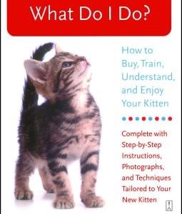 I Just Got a Kitten. What Do I Do?: How to Buy, Train, Understand, and Enjoy Your Kitten