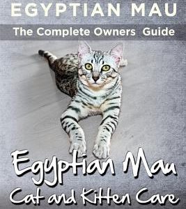 The Egyptian Mau The Complete owners Guide Egyptian Mau cats and kitten care