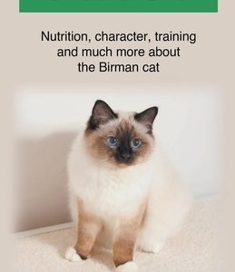 Birman Cat