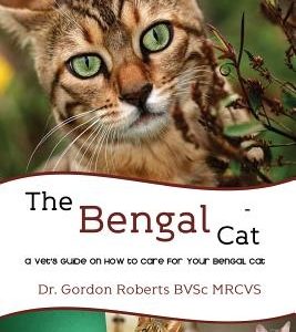 The Bengal Cat