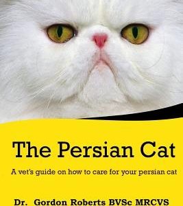 The Persian Cat (A vet's guide on how to care for your Persian cat)