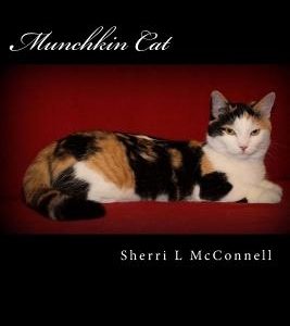 Munchkin Cat