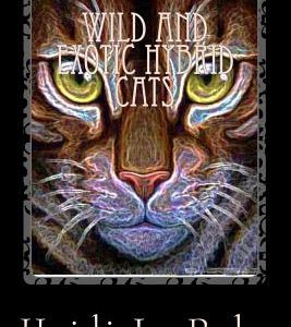 Wild and Exotic Hybrid cats: Wild and Exotic Hybrid cats