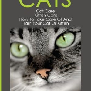 Cats: Cat Care: Kitten Care: How To Take Care Of And Train Your Cat Or Kitten