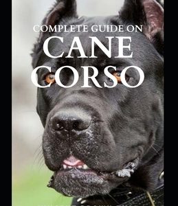 Complete Guide on Cane Corso: All You Need To Know About Grooming, Training, Socializing And Taking Care Of Them