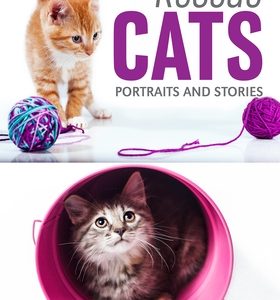 Rescue Cats: Portraits & Stories
