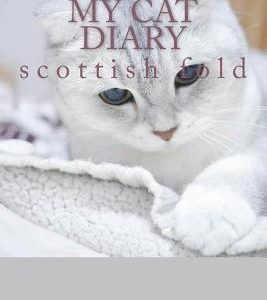 My cat diary: scottish fold
