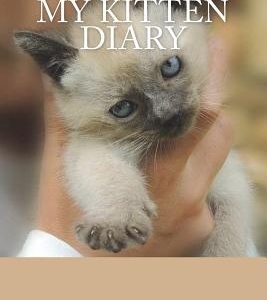 My kitten diary: Siamese