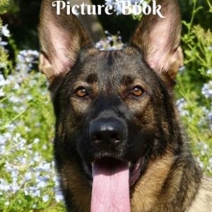 German Shepherds Picture Book: A gift for dog lovers, Alzheimer patients seniors with dementia, picture for kids and children dog lovers