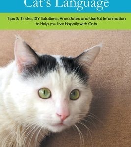 Speaking Your Cat's Language