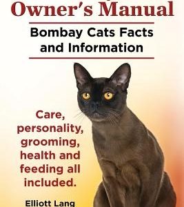 Bombay Cat Owner's Manual. Bombay Cats Facts and Information. Care, Personality, Grooming, Health and Feeding All Included.