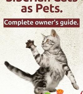 Siberian Cats as Pets. Siberian Cats: Facts and Information. the Complete Owner's Guide.