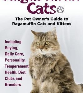 RagaMuffin Cats, The Pet Owners Guide to Ragamuffin Cats and Kittens Including Buying, Daily Care, Personality, Temperament, Health, Diet, Clubs and B