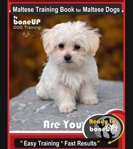 Maltese, Maltese Training Book for Maltese Dogs By BoneUP DOG Training, Are You Ready to Bone Up? Easy Training * Fast Results, Maltese Training