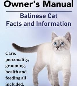 Balinese Cat Owner's Manual. Balinese Cat Facts and Information. Care, Personality, Grooming, Health and Feeding All Included.