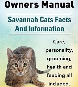 Savannah Cat Owners Manual. Savannah Cats Facts and Information. Savannah Cat Care, Personality, Grooming, Health and Feeding All Included.