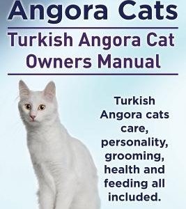 Turkish Angora Cats Owner's Manual. Turkish Angora Cats care, personality, grooming, health and feeding.