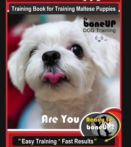 Maltese Puppy Training Book for Maltese Puppies By BoneUP DOG Training, Are You Ready to Bone Up? Easy Training * Fast Results, Maltese Puppy Training