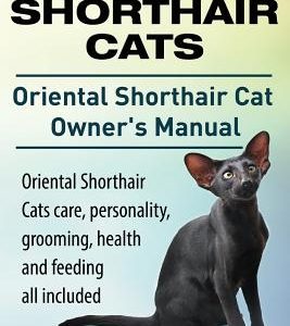 Oriental Shorthair Cats. Oriental Shorthair Cat Owners Manual. Oriental Shorthair Cats care, personality, grooming, health and feeding all included.