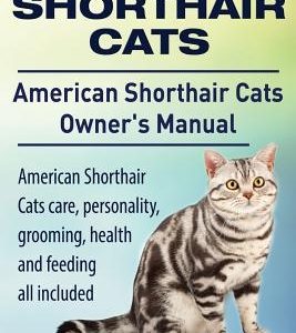 American Shorthair Cats. American Shorthair care, personality, health, grooming and feeding all included. American Shorthair Cats Owner's Manual.