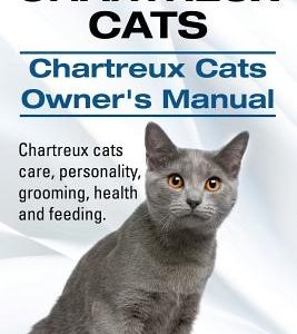 Chartreux Cats. Chartreux Cats Owners Manual. Chartreux cats care, personality, grooming, health and feeding.