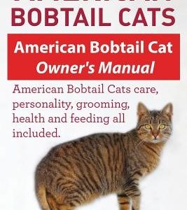 American Bobtail Cats. American Bobtail Cat Owners Manual. American Bobtail Cats