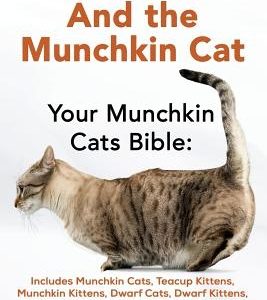 Munchkin Cats And The Munchkin Cat: Your Munchkin Cats Bible: Includes Munchkin Cats, Teacup Kittens, Munchkin Kittens, Dwarf Cats, Dwarf Kittens, And