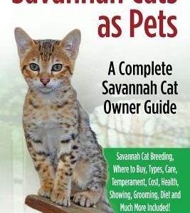 Savannah Cats as Pets: Savannah Cat Breeding, Where to Buy, Types, Care, Temperament, Cost, Health, Showing, Grooming, Diet and Much More Inc