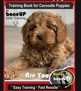 Cavoodle Puppy Training Book for Cavoodle Puppies By BoneUP DOG Training, Are You Ready to Bone Up? Easy Training * Fast Results, Cavoodle Puppy Book