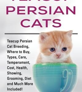 Teacup Persian Cats: Teacup Persian Cat Breeding, Where to Buy, Types, Care, Temperament, Cost, Health, Showing, Grooming, Diet and Much Mo