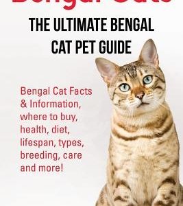 Bengal Cats: Bengal Cat Facts & Information, where to buy, health, diet, lifespan, types, breeding, care and more! The Ultimate Ben