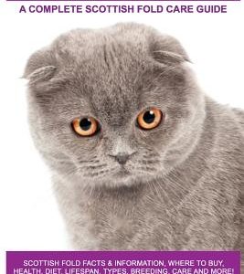 Scottish Folds Cats as Pets: Scottish Fold Facts & Information, where to buy, health, diet, lifespan, types, breeding, care and more! A Complete Sc