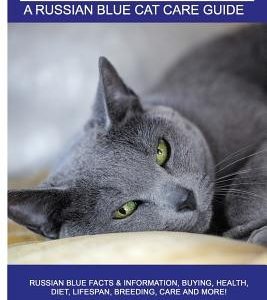 Russian Blue Cats as Pets: Russian Blue Facts & Information, buying, health, diet, lifespan, breeding, care and more! A Russian Blue Cat Care Gui