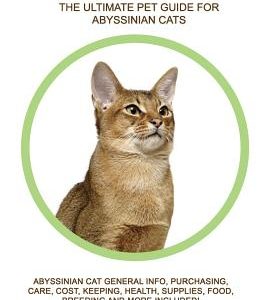 Abyssinian Cats: Abyssinian Cat General Info, Purchasing, Care, Cost, Keeping, Health, Supplies, Food, Breeding and More Included! The