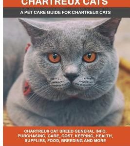 Chartreux Cats: Chartreux Cat Breed General Info, Purchasing, Care, Cost, Keeping, Health, Supplies, Food, Breeding and More Included!